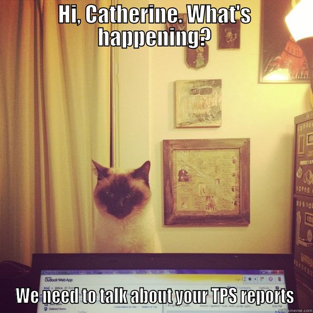 TPS Cat - HI, CATHERINE. WHAT'S HAPPENING? WE NEED TO TALK ABOUT YOUR TPS REPORTS Misc