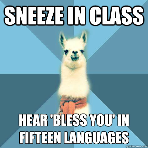 Sneeze in class Hear 'Bless you' in
fifteen languages  Linguist Llama