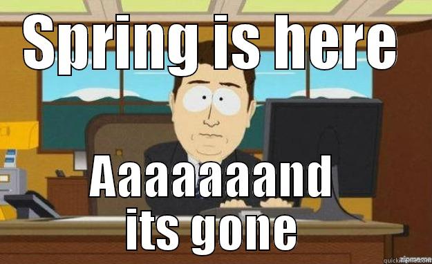 SPRING IS HERE AAAAAAAND ITS GONE aaaand its gone