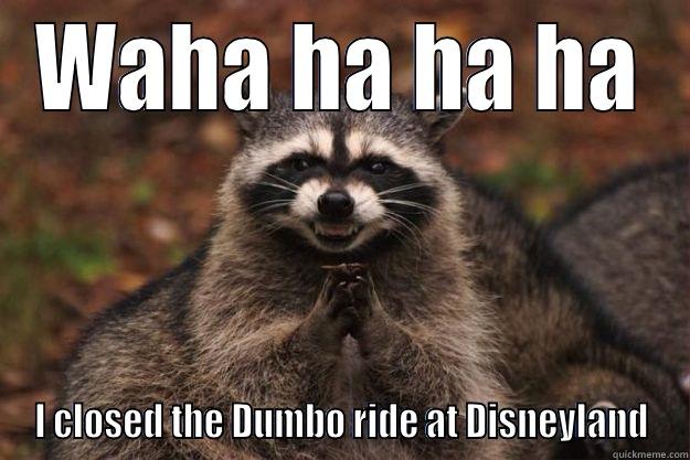 WAHA HA HA HA I CLOSED THE DUMBO RIDE AT DISNEYLAND Evil Plotting Raccoon