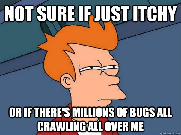 not sure if just itchy or if there's millions of bugs all crawling all over me  Futurama Fry