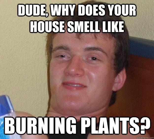 Dude, why does your house smell like burning plants?  10 Guy