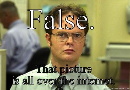 You own that pic? - FALSE. THAT PICTURE IS ALL OVER THE INTERNET. Schrute