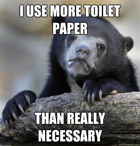 I use more toilet paper than really necessary - I use more toilet paper than really necessary  Confession Bear