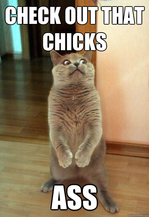 CHECK OUT THAT CHICKS  ASS
  Horrorcat