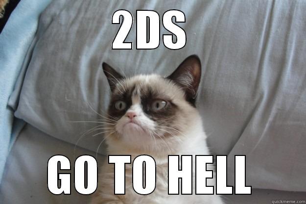 2DS GO TO HELL Grumpy Cat