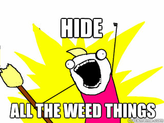 All the weed things hide  