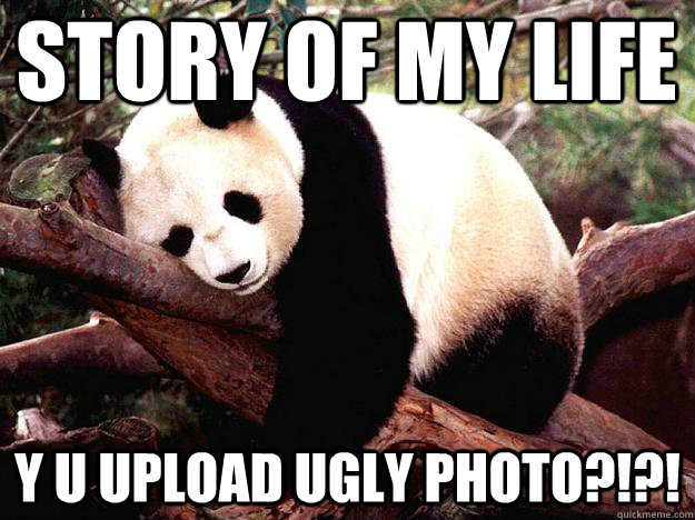 STORY OF MY LIFE Y U UPLOAD UGLY PHOTO?!?!  Procrastination Panda