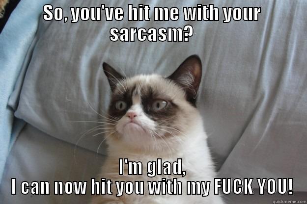 SO, YOU'VE HIT ME WITH YOUR SARCASM? I'M GLAD, I CAN NOW HIT YOU WITH MY FUCK YOU! Grumpy Cat