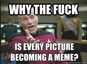 why the fuck is every picture becoming a meme?  Annoyed Picard