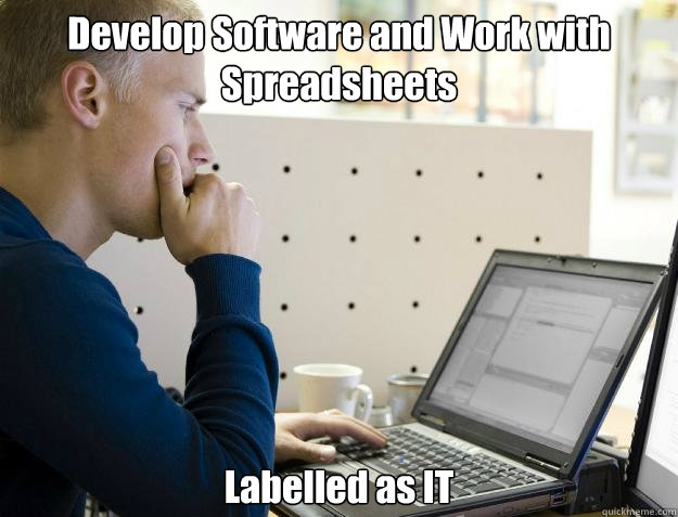 Develop Software and Work with Spreadsheets Labelled as IT - Develop Software and Work with Spreadsheets Labelled as IT  Programmer