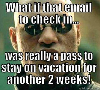 airline check in - WHAT IF THAT EMAIL TO CHECK IN... WAS REALLY A PASS TO STAY ON VACATION FOR ANOTHER 2 WEEKS! Matrix Morpheus