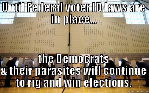 The truth about voting - UNTIL FEDERAL VOTER ID LAWS ARE IN PLACE... THE DEMOCRATS & THEIR PARASITES WILL CONTINUE TO RIG AND WIN ELECTIONS. Misc