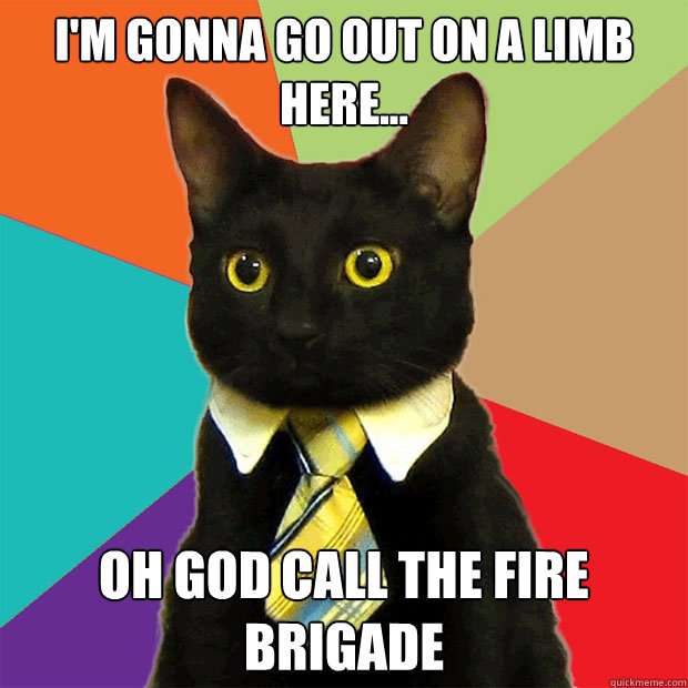 I'm gonna go out on a limb here... OH GOD CALL THE FIRE BRIGADE  Business Cat