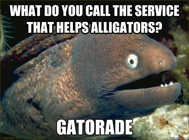 What do you call the service that helps alligators? Gatorade  Bad Joke Eel