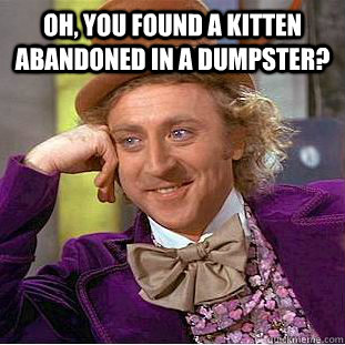 Oh, you found a kitten abandoned in a dumpster?      Condescending Wonka