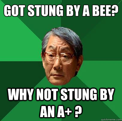 Got stung by a bee?
 why not stung by an a+ ?  High Expectations Asian Father