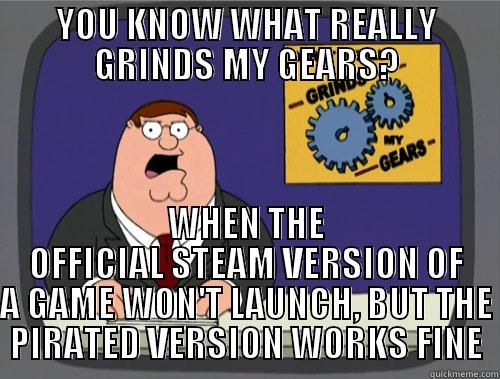 YOU KNOW WHAT REALLY GRINDS MY GEARS? WHEN THE OFFICIAL STEAM VERSION OF A GAME WON'T LAUNCH, BUT THE PIRATED VERSION WORKS FINE Grinds my gears