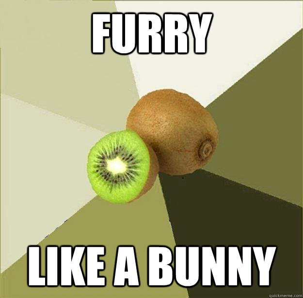 FURRY LIKE A BUNNY  Unclear Meme Kiwi