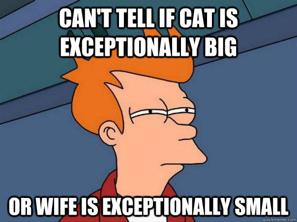 Can't tell if cat is exceptionally big or wife is exceptionally small  Futurama Fry