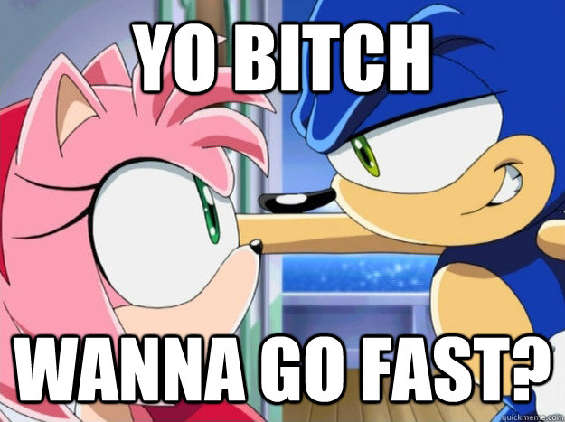 Yo bitch wanna go fast?  sonic gonna rape fast