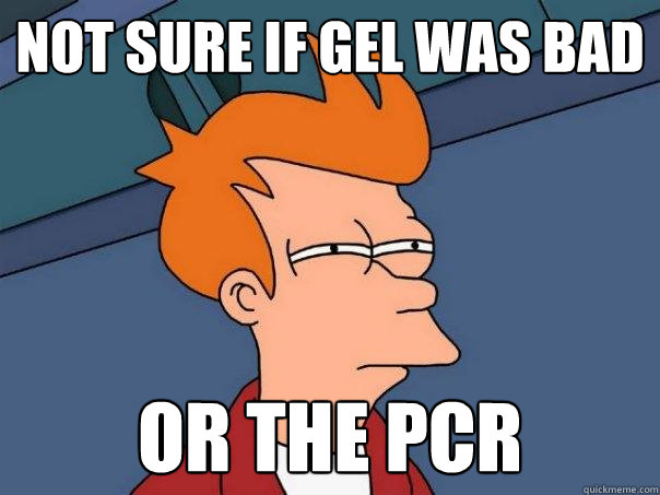 Not sure if gel was bad or the PCR  Futurama Fry