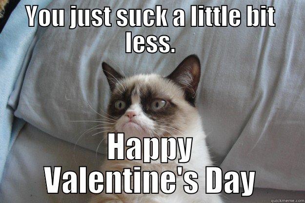 YOU JUST SUCK A LITTLE BIT LESS. HAPPY VALENTINE'S DAY Grumpy Cat