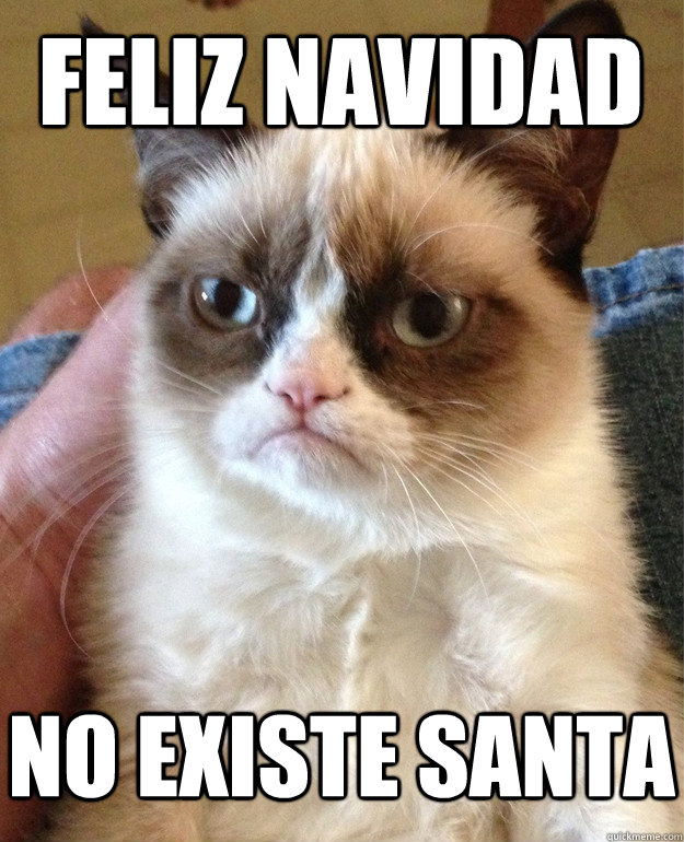 Feliz Navidad No existe Santa   Grumpy Cat