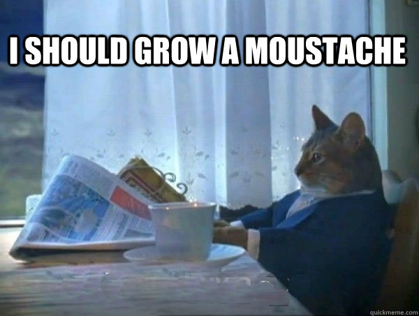 I should grow a moustache    morning realization newspaper cat meme