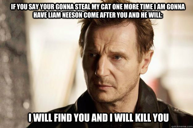 IF you say your gonna steal my cat one more time i am gonna have Liam Neeson come after you and he will: I will find you and I will kill you  Liam neeson