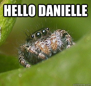 hello danielle   Misunderstood Spider