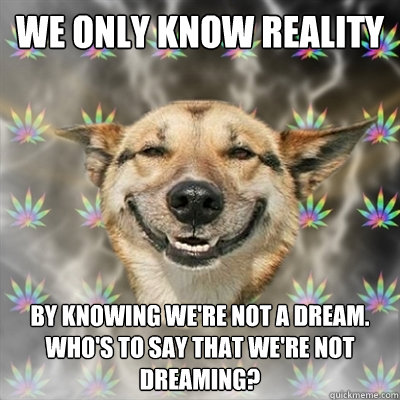 We only know reality  by knowing we're not a dream. who's to say that we're not dreaming?  Stoner Dog