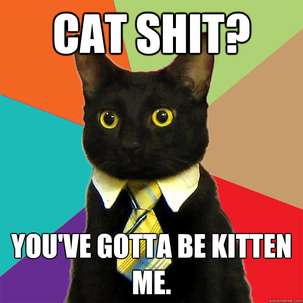 CAT SHIT? you've gotta be kitten me.  Business Cat