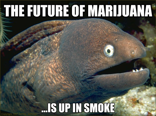 The future of marijuana ...is up in smoke  Bad Joke Eel