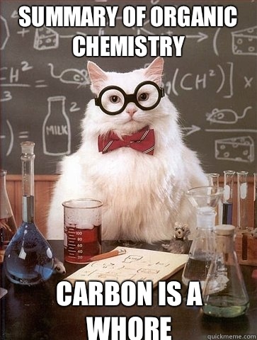 summary of Organic Chemistry carbon is a whore  Chemistry Cat