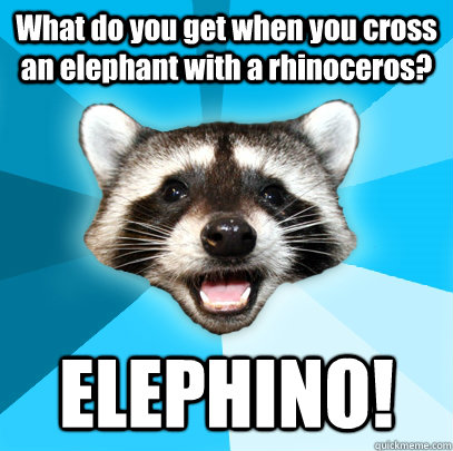 What do you get when you cross an elephant with a rhinoceros?  ELEPHINO! - What do you get when you cross an elephant with a rhinoceros?  ELEPHINO!  Lame Pun Coon