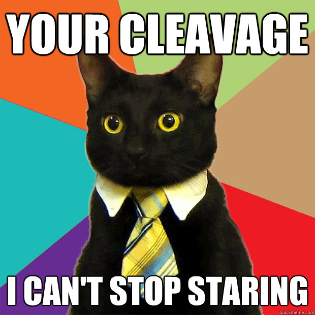 YOUR CLEAVAGE I CAN'T STOP STARING  Business Cat