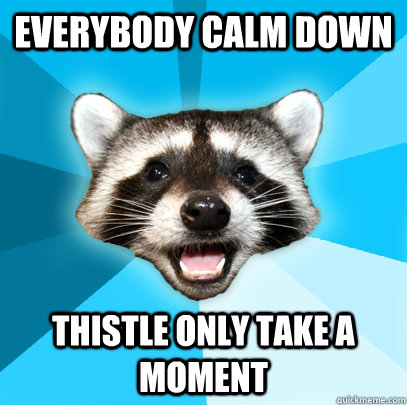 everybody calm down thistle only take a moment  Lame Pun Coon