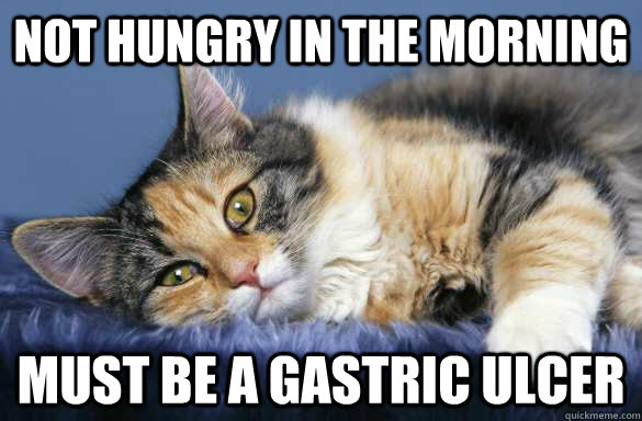 Not hungry in the morning Must be a gastric ulcer - Not hungry in the morning Must be a gastric ulcer  Hypochondriacat