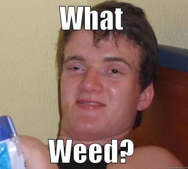 WHAT WEED? 10 Guy