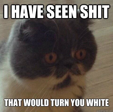 I have seen shit That would turn you white  Sudden Clarity Cat