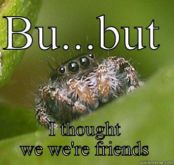 We're friends.right? - BU...BUT  I THOUGHT WE WE'RE FRIENDS Misunderstood Spider