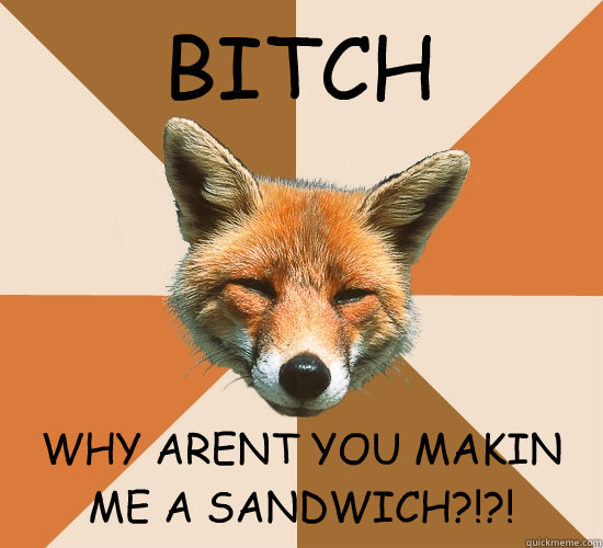 BITCH WHY ARENT YOU MAKIN ME A SANDWICH?!?!  Condescending Fox