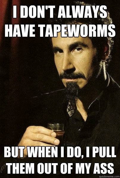 I don't always have tapeworms But when I do, I pull them out of my ass  sERJ TANKIAN