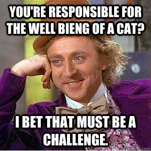 You're responsible for the well bieng of a cat? I bet that must be a challenge.  Creepy Wonka