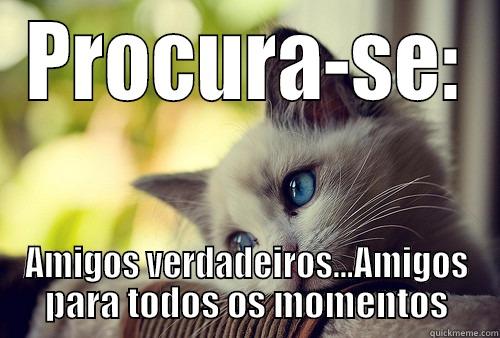 PROCURA-SE: AMIGOS VERDADEIROS...AMIGOS PARA TODOS OS MOMENTOS First World Problems Cat