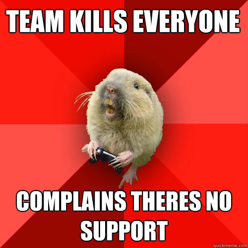 Team kills everyone Complains theres no support  Gaming Gopher