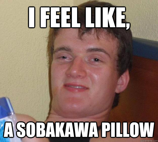 I feel like, a sobakawa pillow  10 Guy