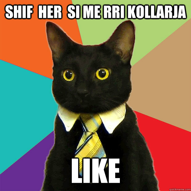 shif  her  si me rri kollarja LIKE  Business Cat