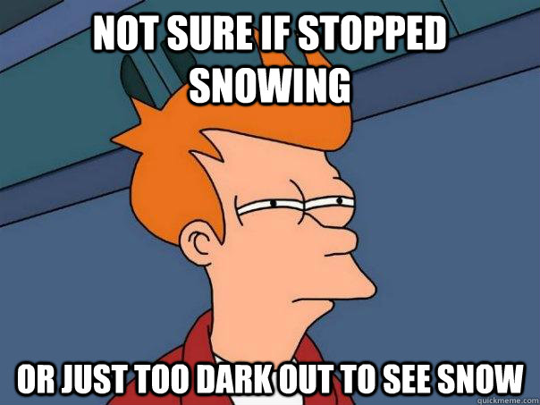 Not Sure if stopped snowing Or just too dark out to see snow  Futurama Fry